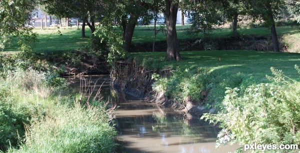 Dappled Creek